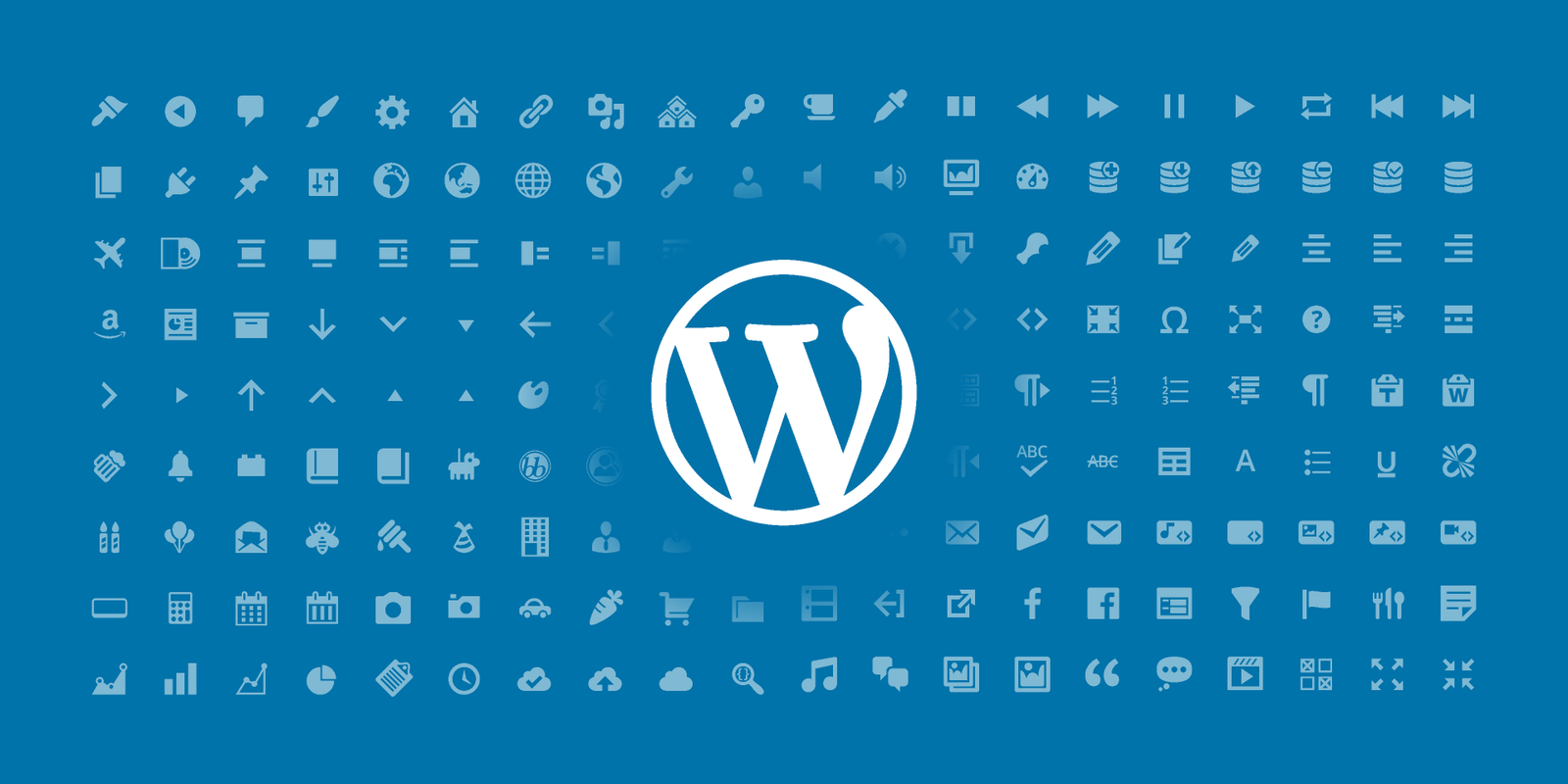 wordpress Devploper